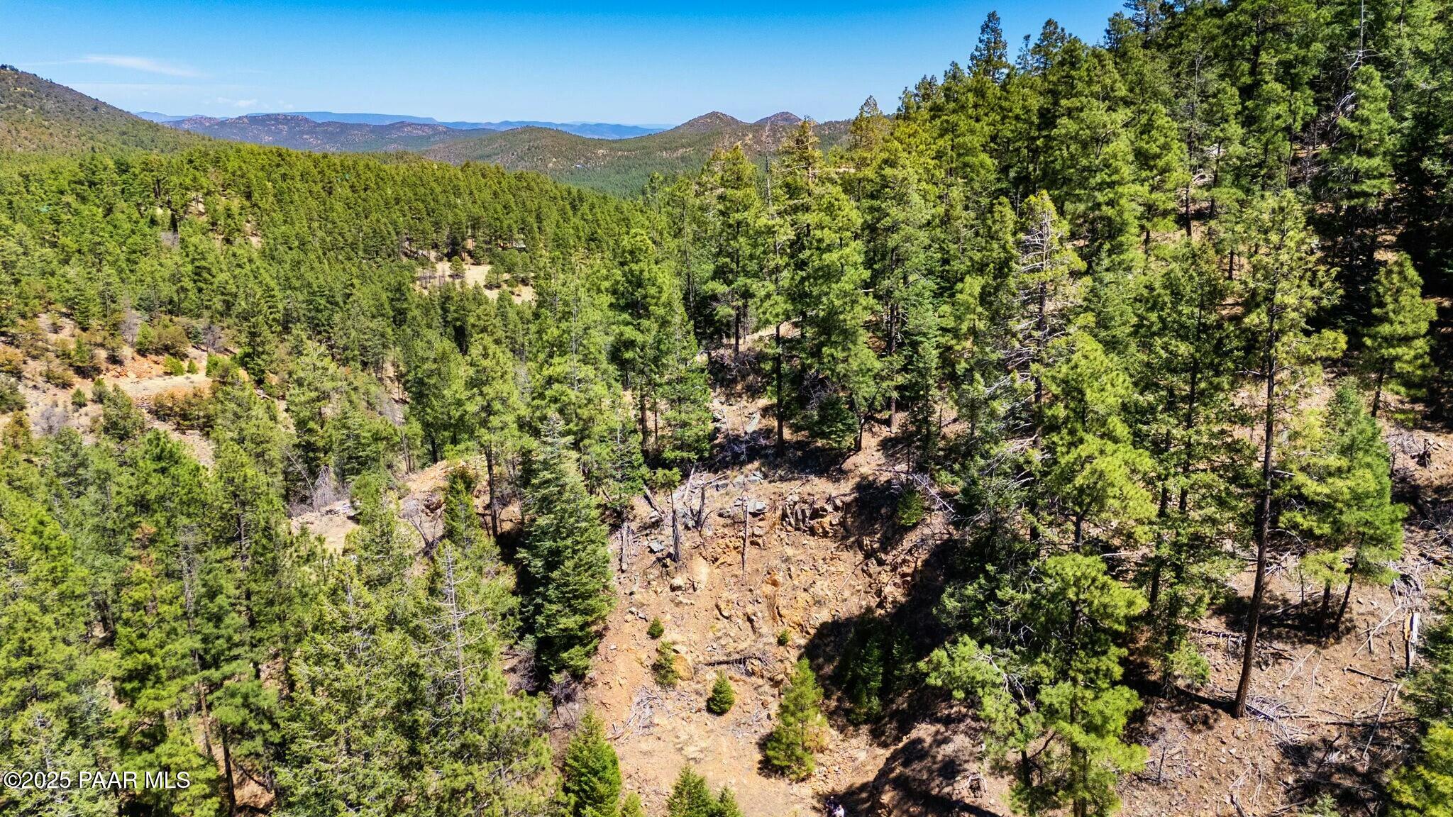 3725 East Walker Road Prescott, AZ 86303 - Photo 4 of 20 a view of a lush green forest with a mountain