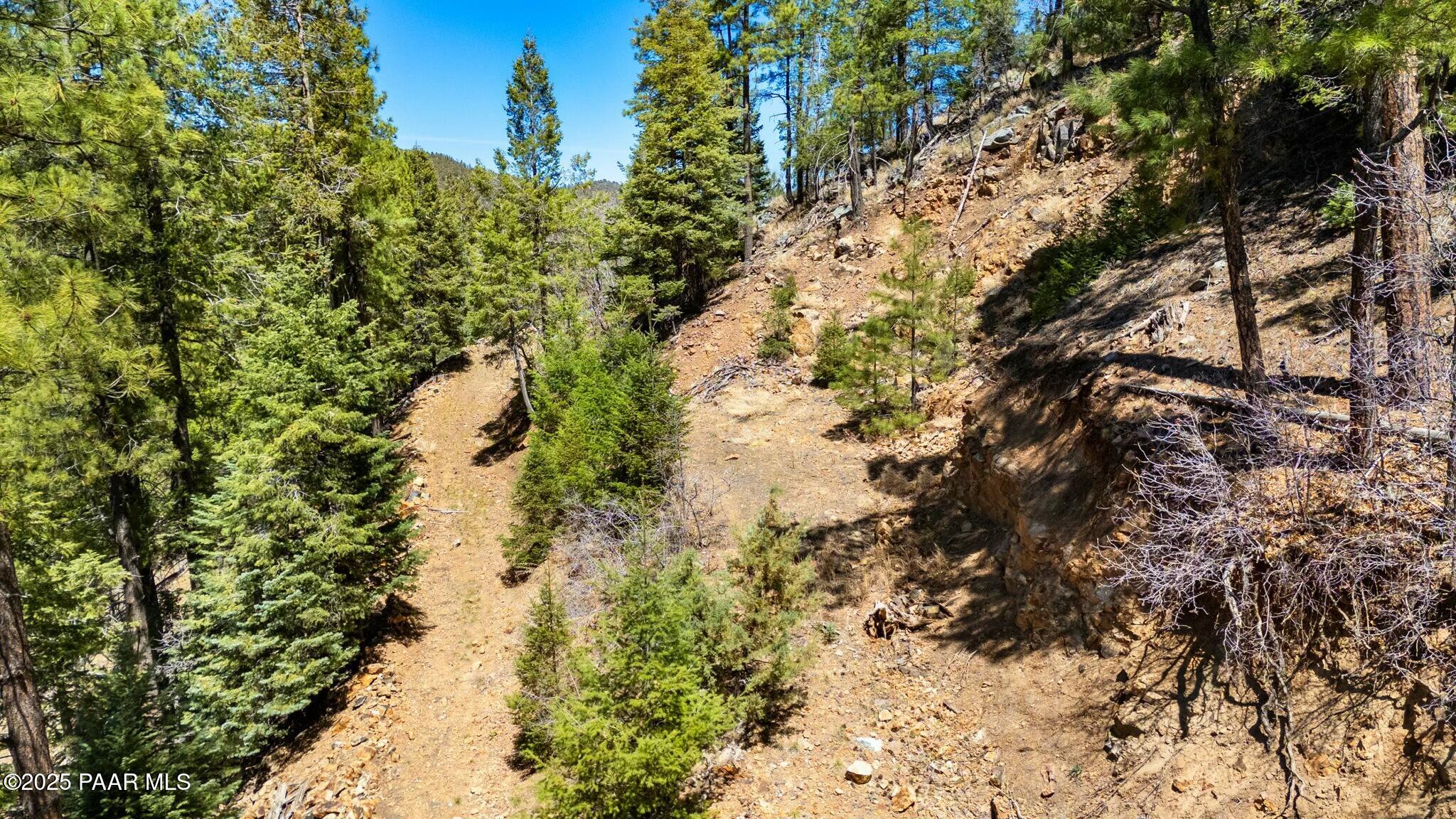 3725 East Walker Road Prescott, AZ 86303 - Photo 5 of 20 a view of a yard with a tree