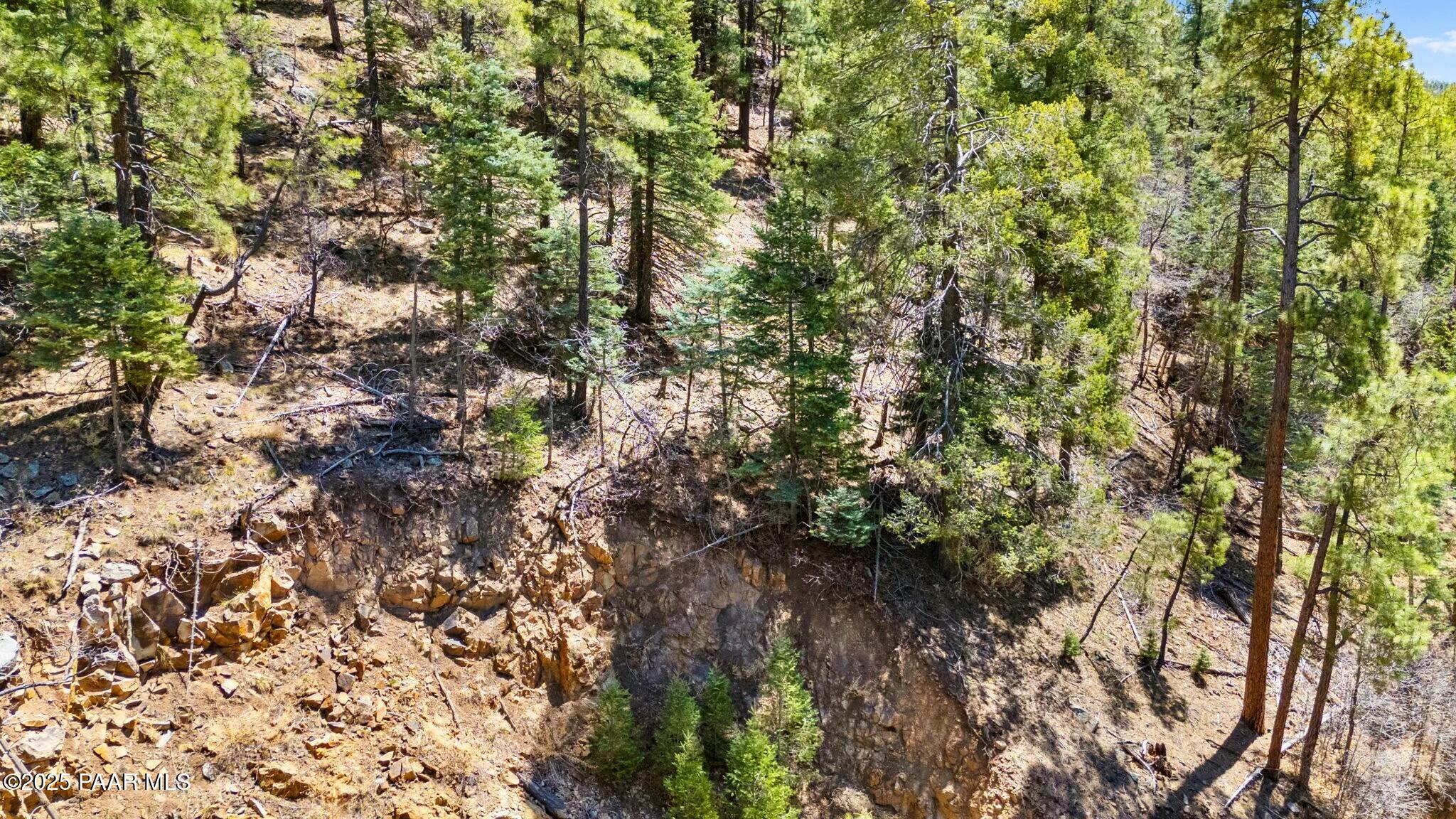 3725 East Walker Road Prescott, AZ 86303 - Photo 7 of 20 a view of a yard