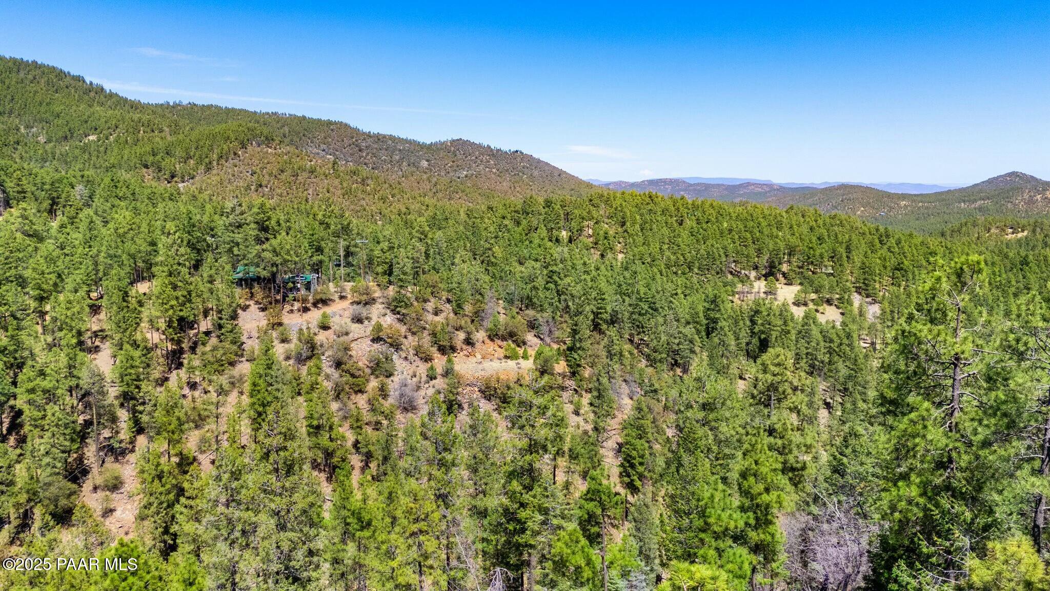 3725 East Walker Road Prescott, AZ 86303 - Photo 8 of 20 a view of a mountain range with lush green forest