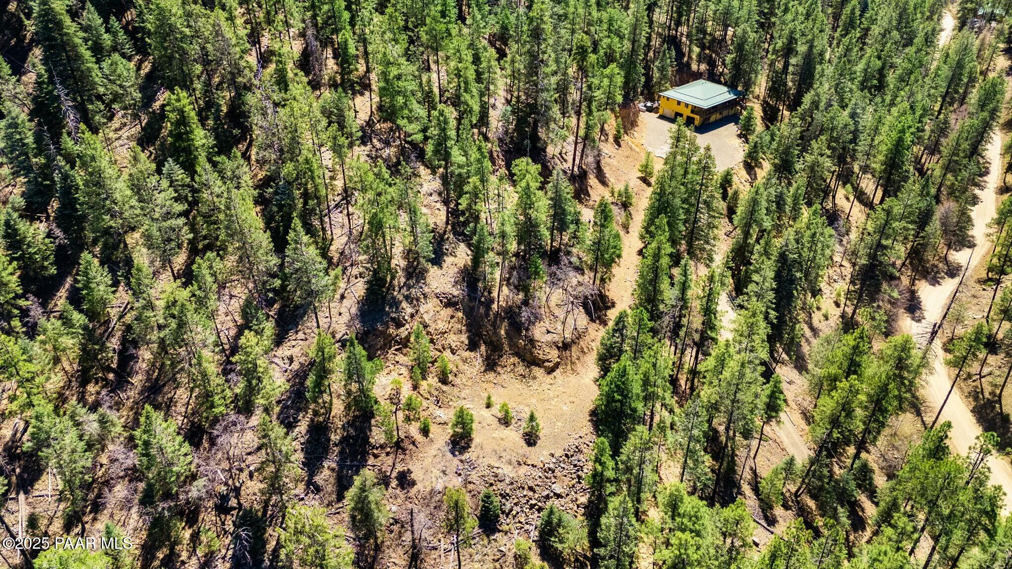3725 East Walker Road Prescott, AZ 86303 - Photo 9 of 20 a view of a tree