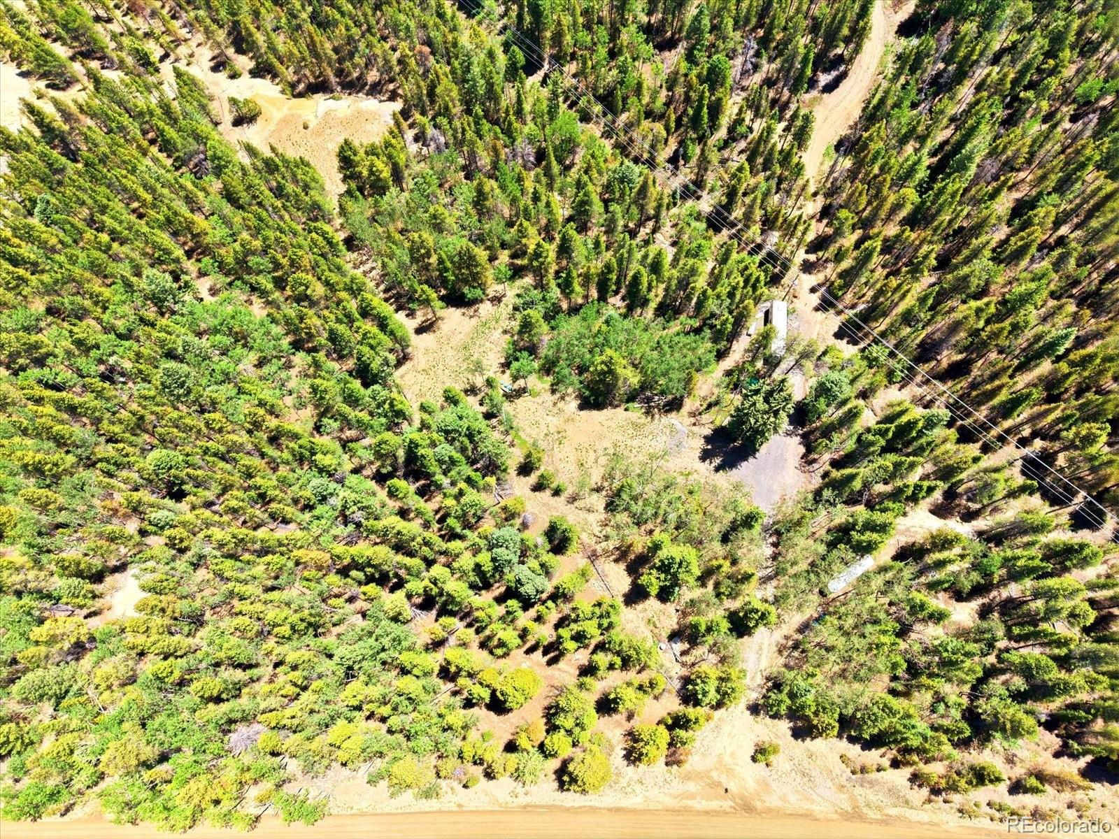 5940 Virginia Canyon Road Central City, CO 80427 - Photo 9 of 28 a view of a yard