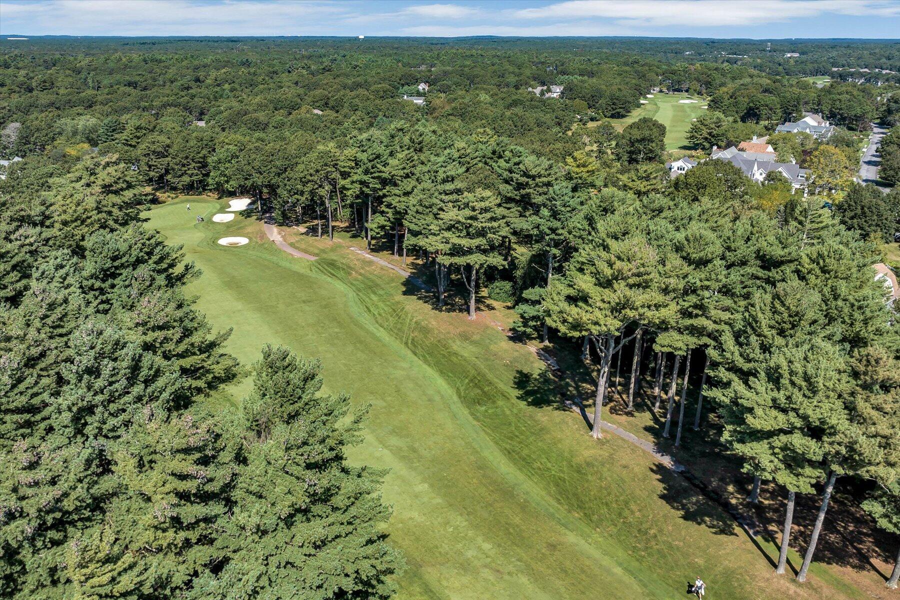 74 The Heights Mashpee, MA 02649 - Photo 33 of 34 a view of a forest with a yard