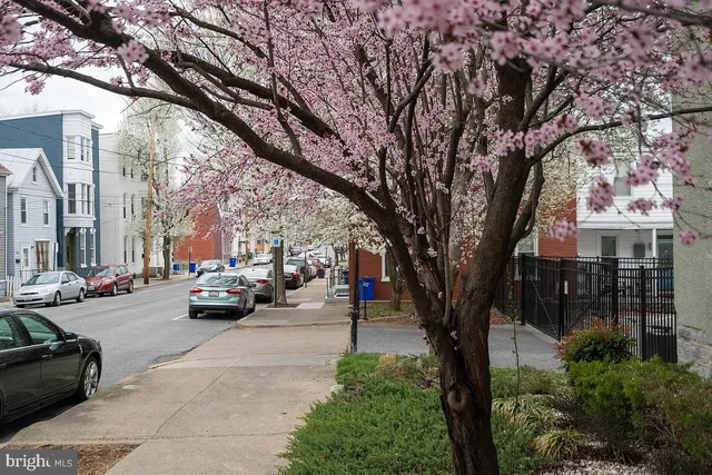 $1,050 | 138 East Antietam Street, Unit 105, Hagerstown, MD 21740