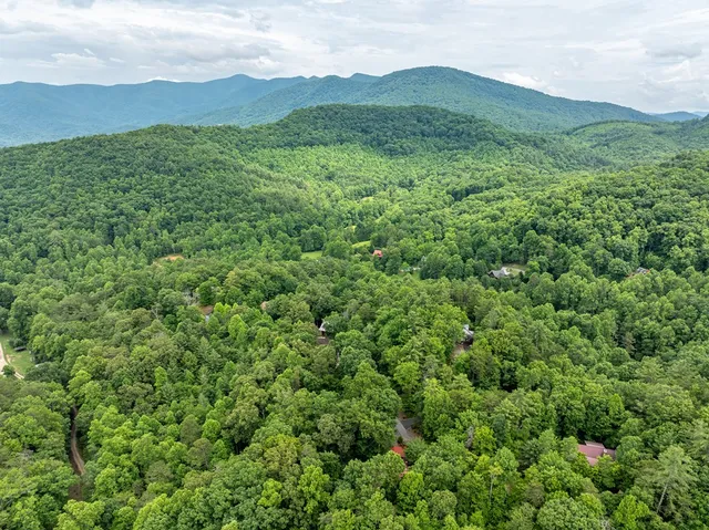 a view of a lush green hillside and a houses