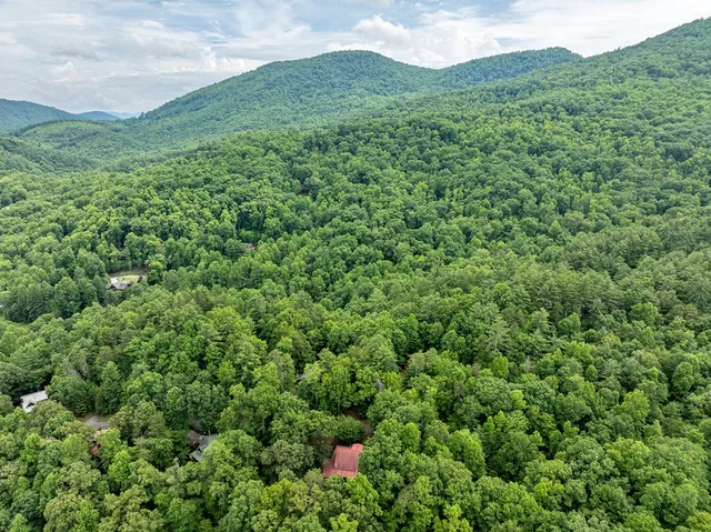 a view of a lush green forest with a house in the background