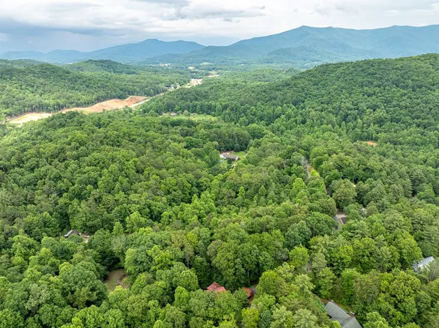 a view of a lush green hillside and a houses