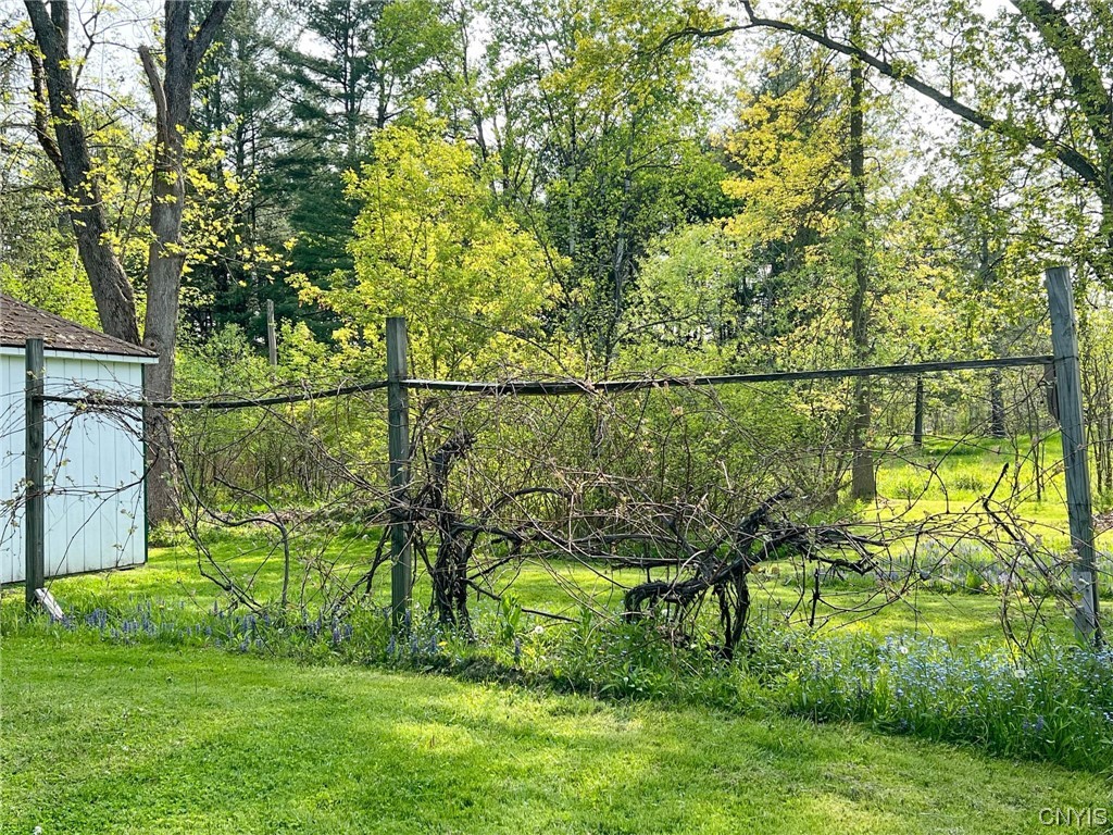 31 Upper Creek Road Dryden, NY 14850 - Photo 46 of 49