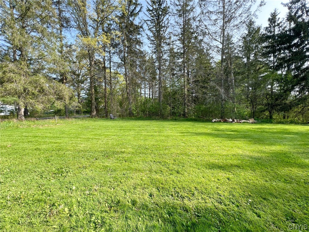 31 Upper Creek Road Dryden, NY 14850 - Photo 47 of 49