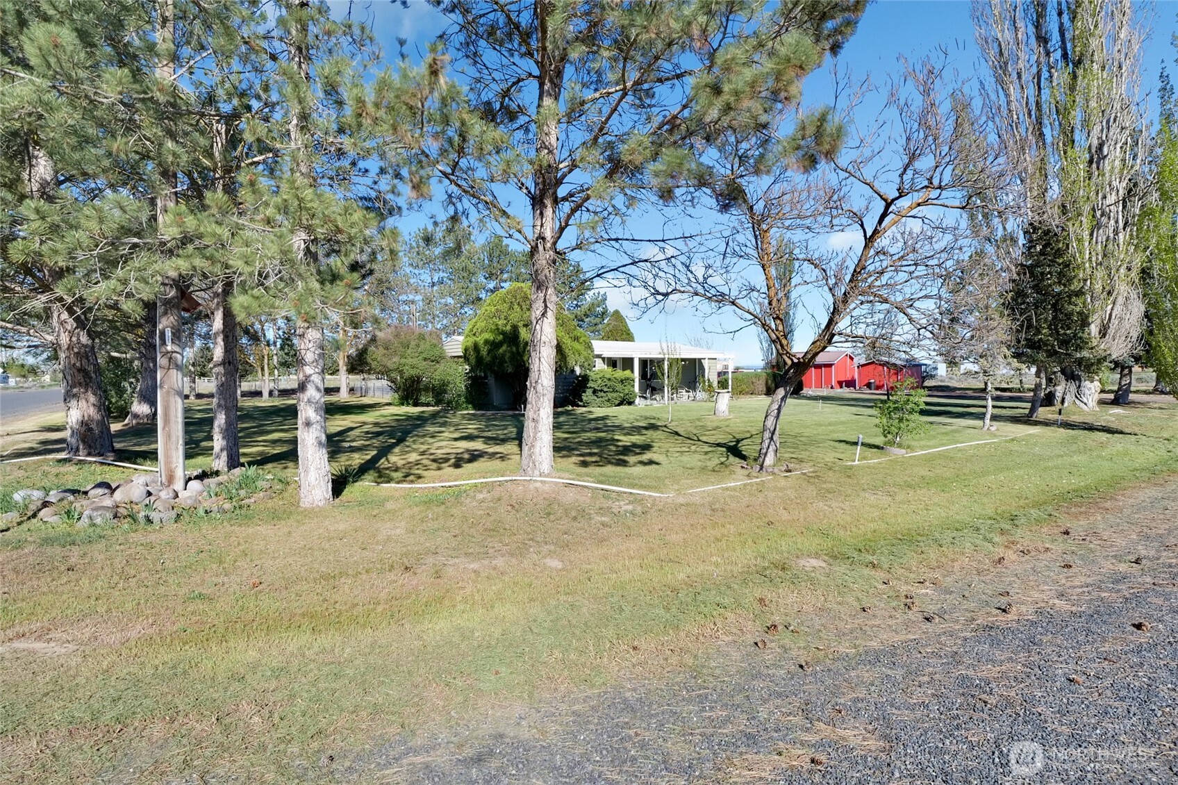 9630 Rd H.8 Northeast Moses Lake, WA 98837 - Photo 36 of 39 a view of road with large trees