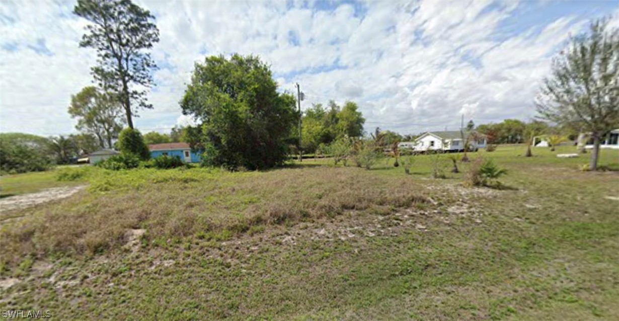 a view of dirt field with trees