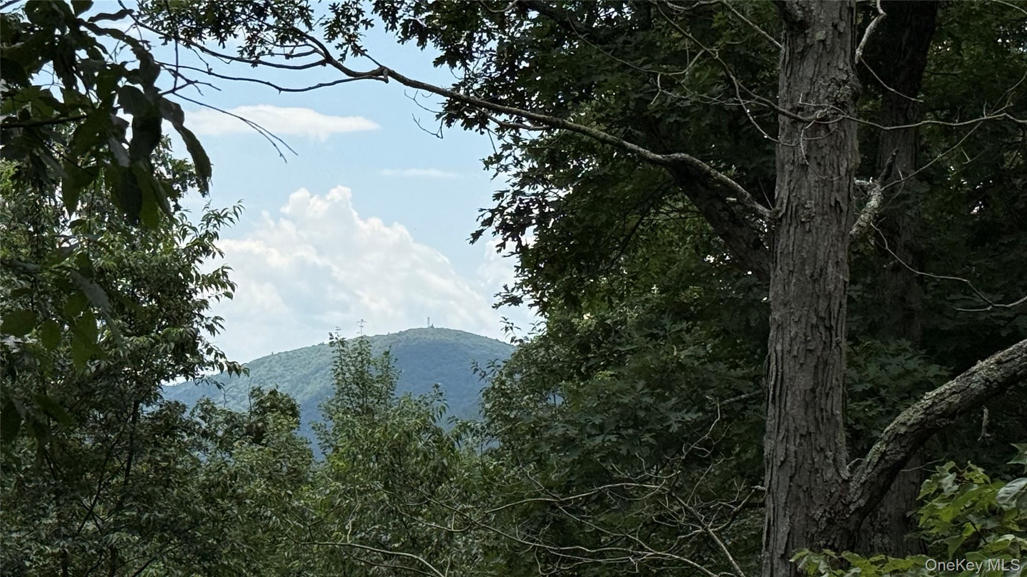 66 Ryan Road Pine Plains, NY 12567 - Photo 6 of 10 Seasonal view of Stissing Mountain from proposed house location