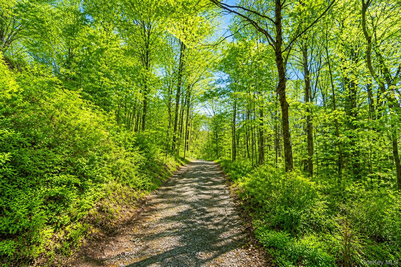 233 Long Ridge Road Bedford, NY 10506 - Photo 46 of 50 Trail