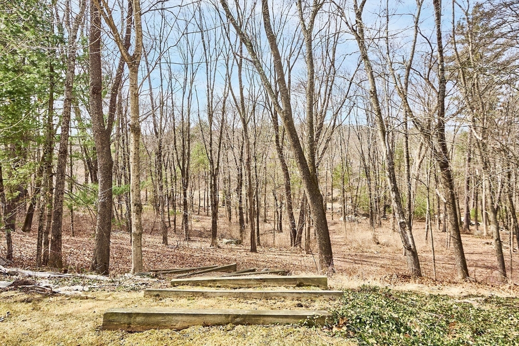 2 Abigail Drive Hudson, MA 01749 - Photo 39 of 42 a view of park with large trees