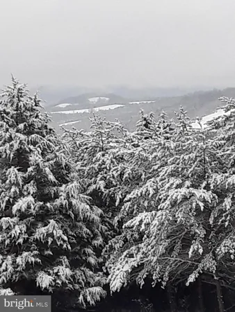 $425,000 | 141 Rose Patch Drive, Upper Tract, WV 26866