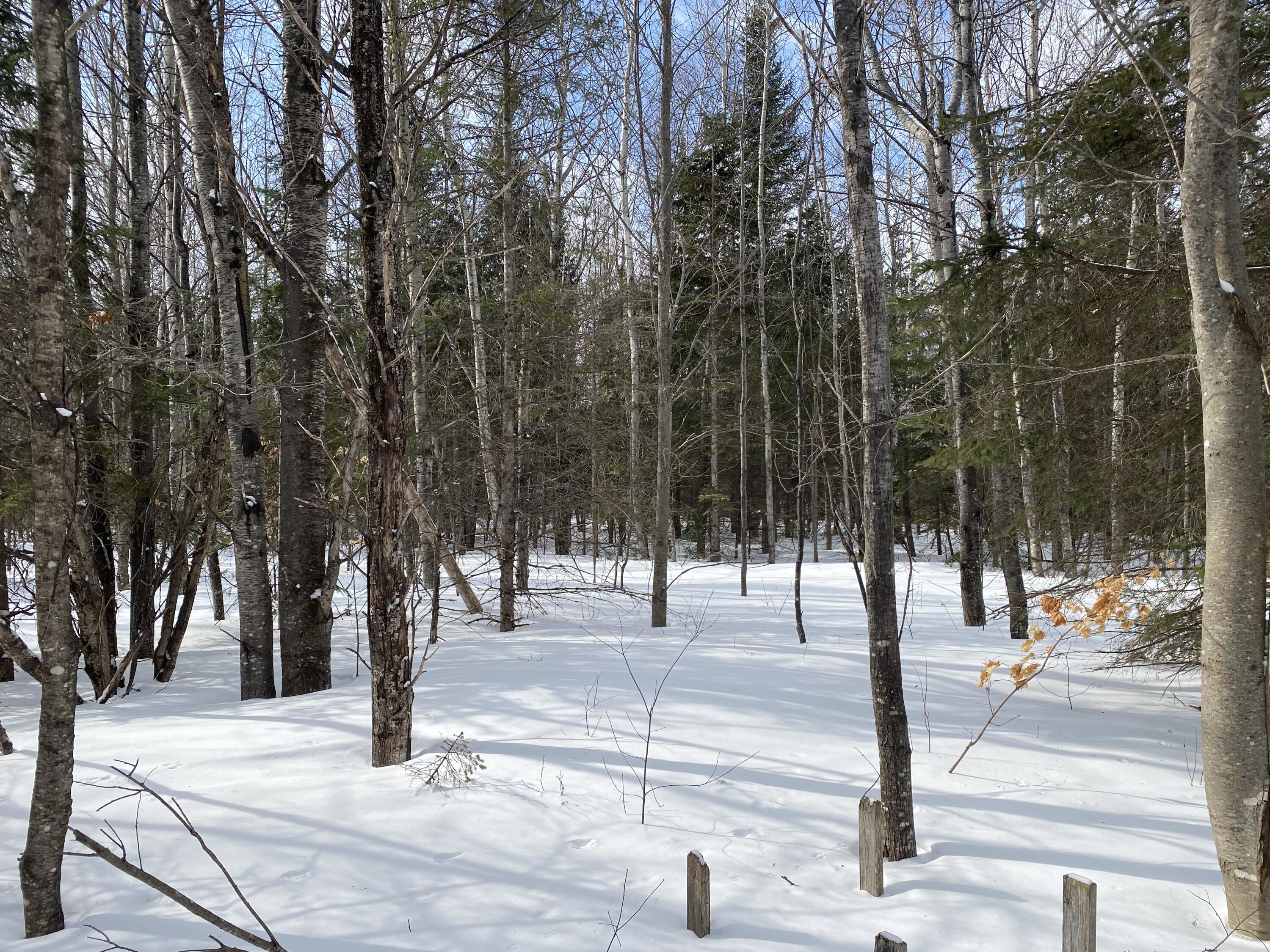 749 Pulcifur Road Mapleton, ME 04757 - Photo 56 of 65 IMG_9642
