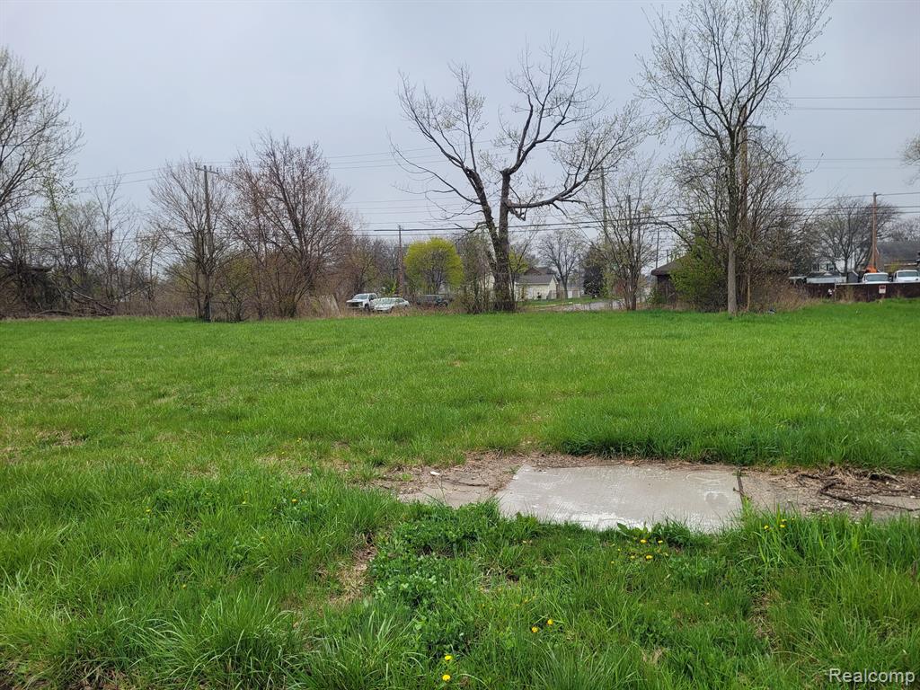3951 Beaconsfield Street Detroit, MI 48224 - Photo 2 of 3