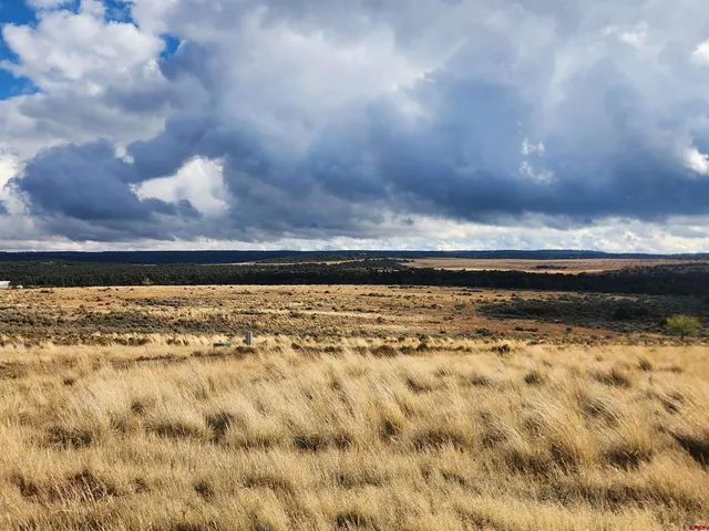 a view of an ocean and beach