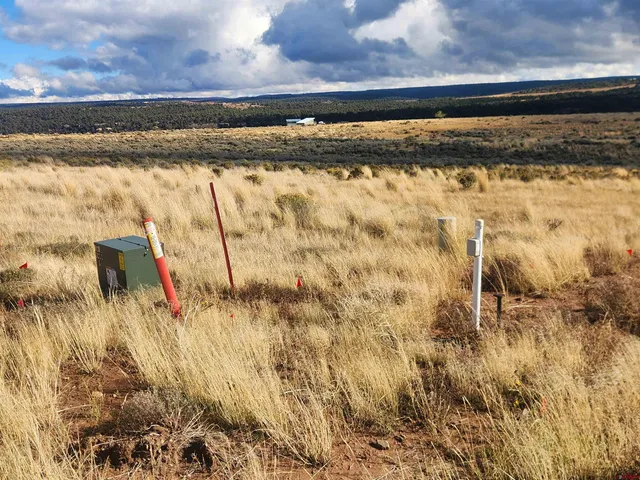 a view of a backyard of the house