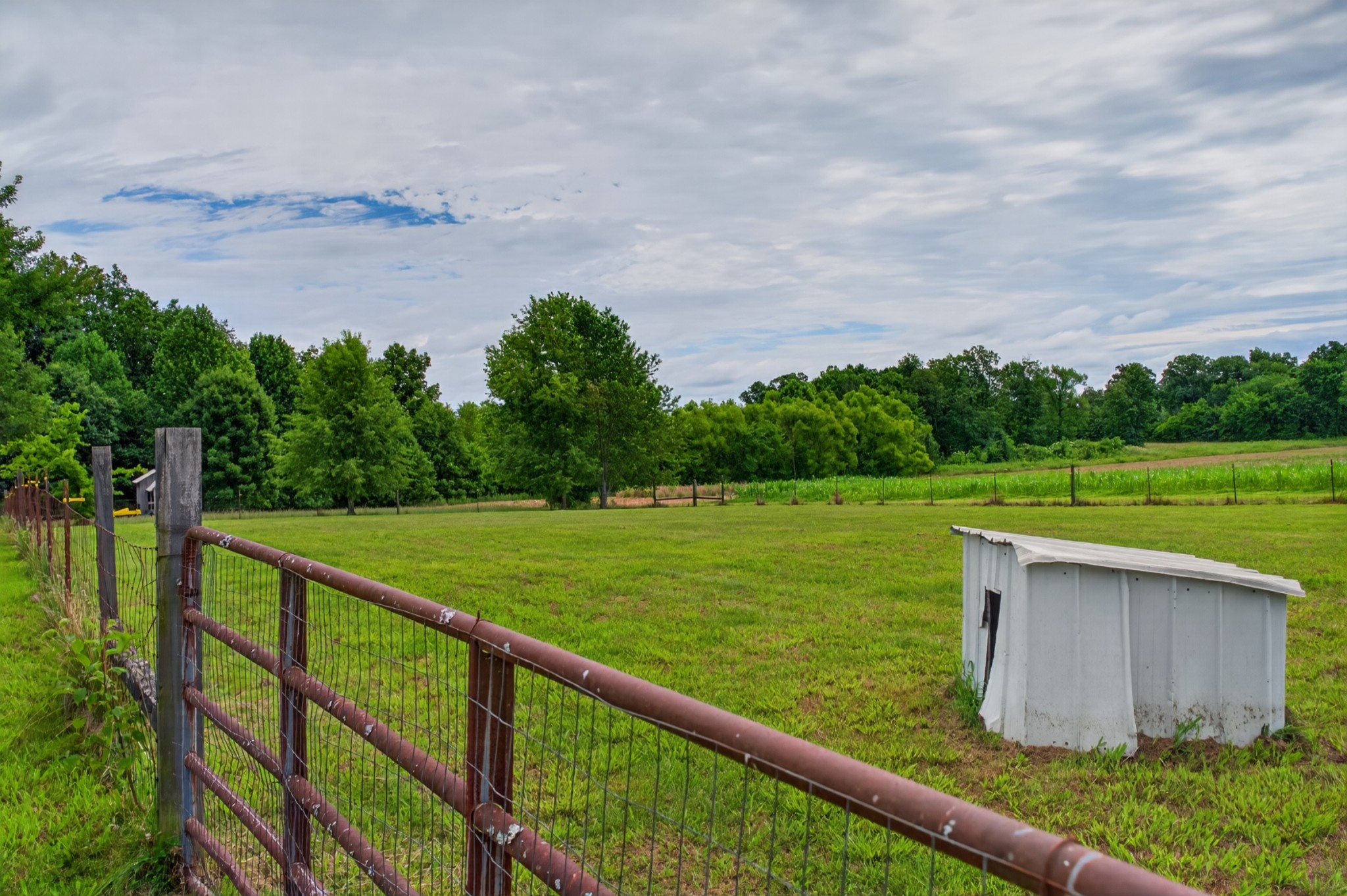 618 Lear Road Portland, TN 37148 - Photo 7 of 29 a view of a garden and deck