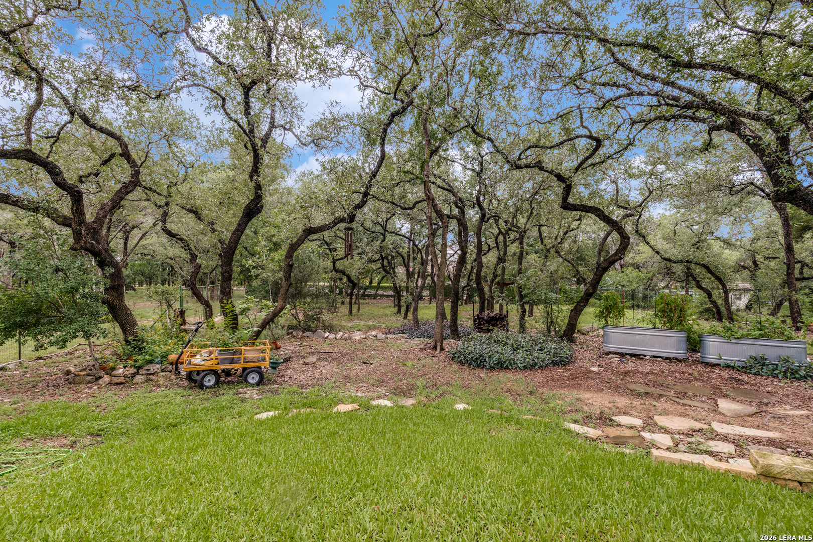 26206 Lewis Ranch Road New Braunfels, TX 78132 - Photo 41 of 51