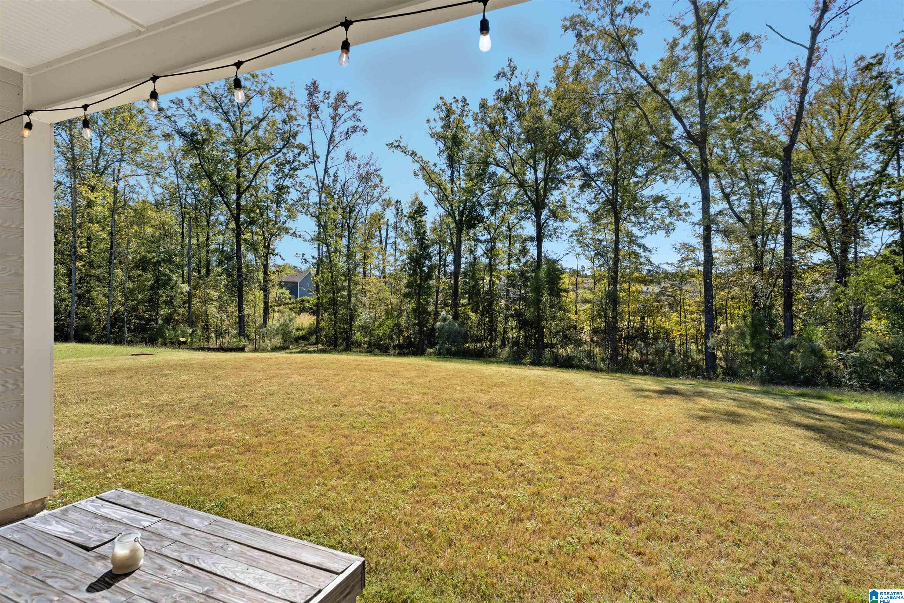 173 Chelsea Park Road Chelsea, AL 35043 - Photo 37 of 44