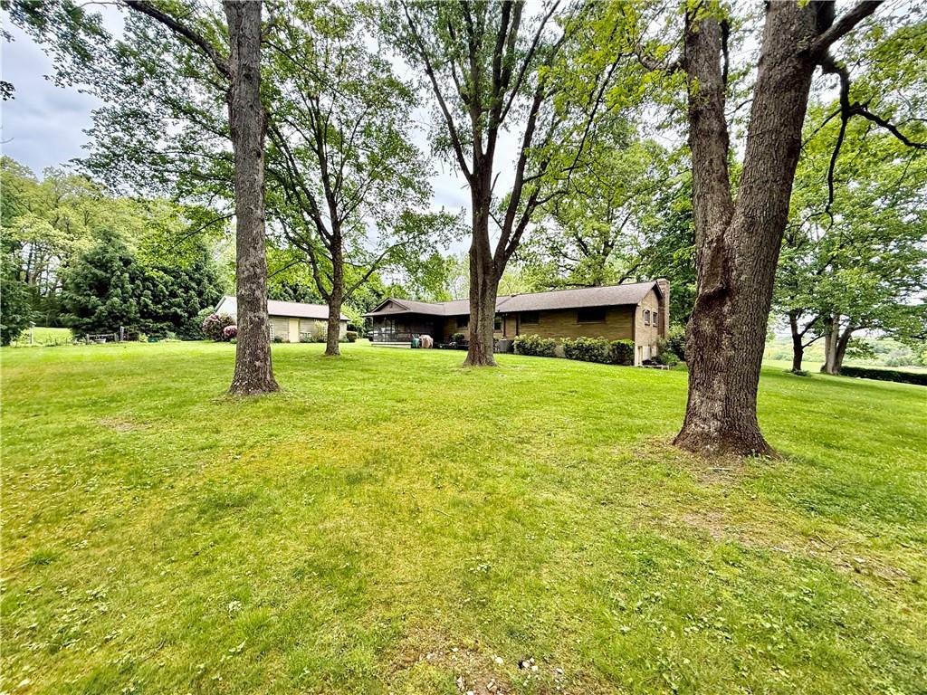 320 Saxonburg Road Butler, PA 16002 - Photo 4 of 36 a view of a trees with a house in the background