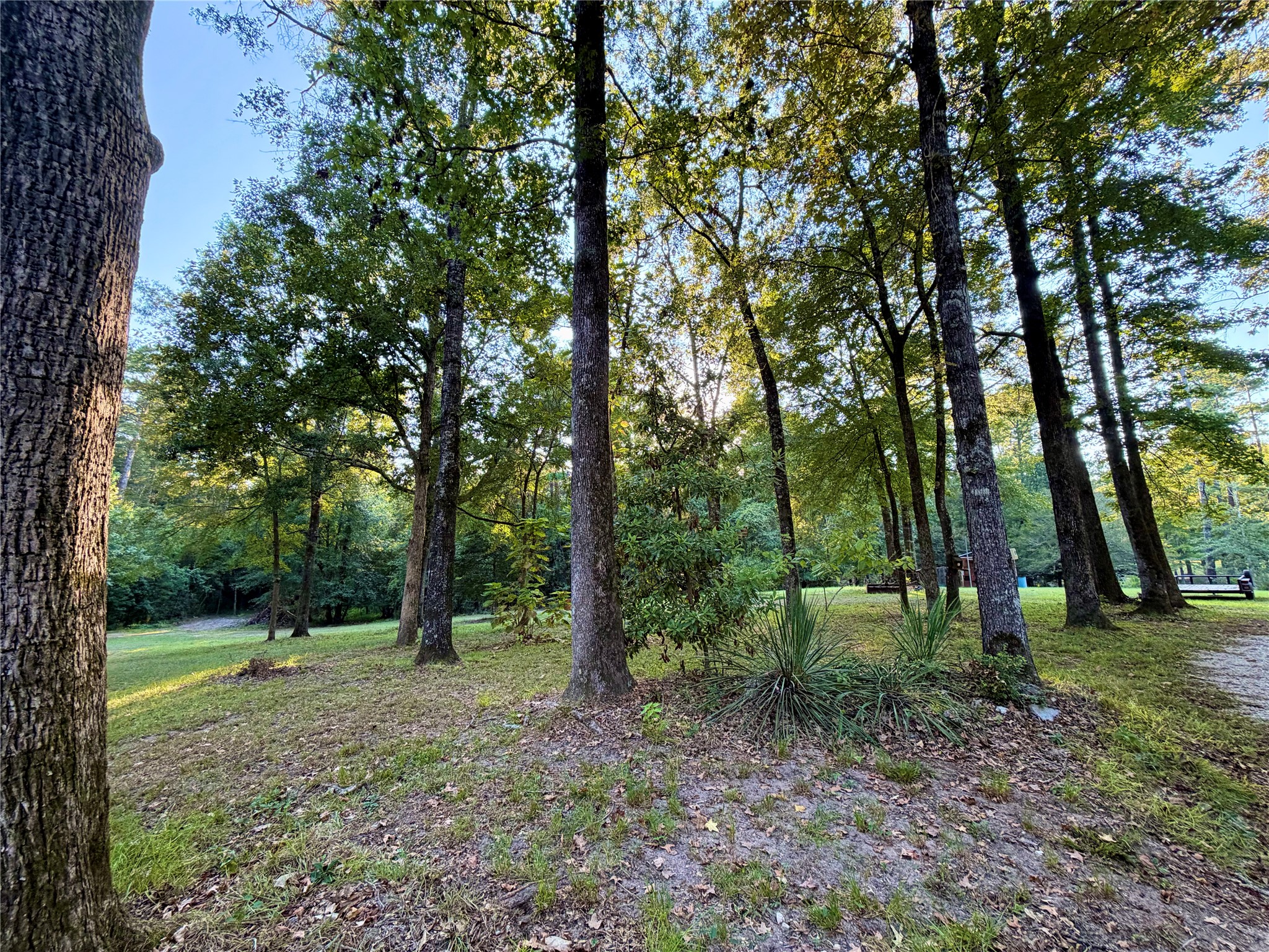 2721 Kelly Road Livingston, TX 77351 - Photo 15 of 36 Gallery Image 15