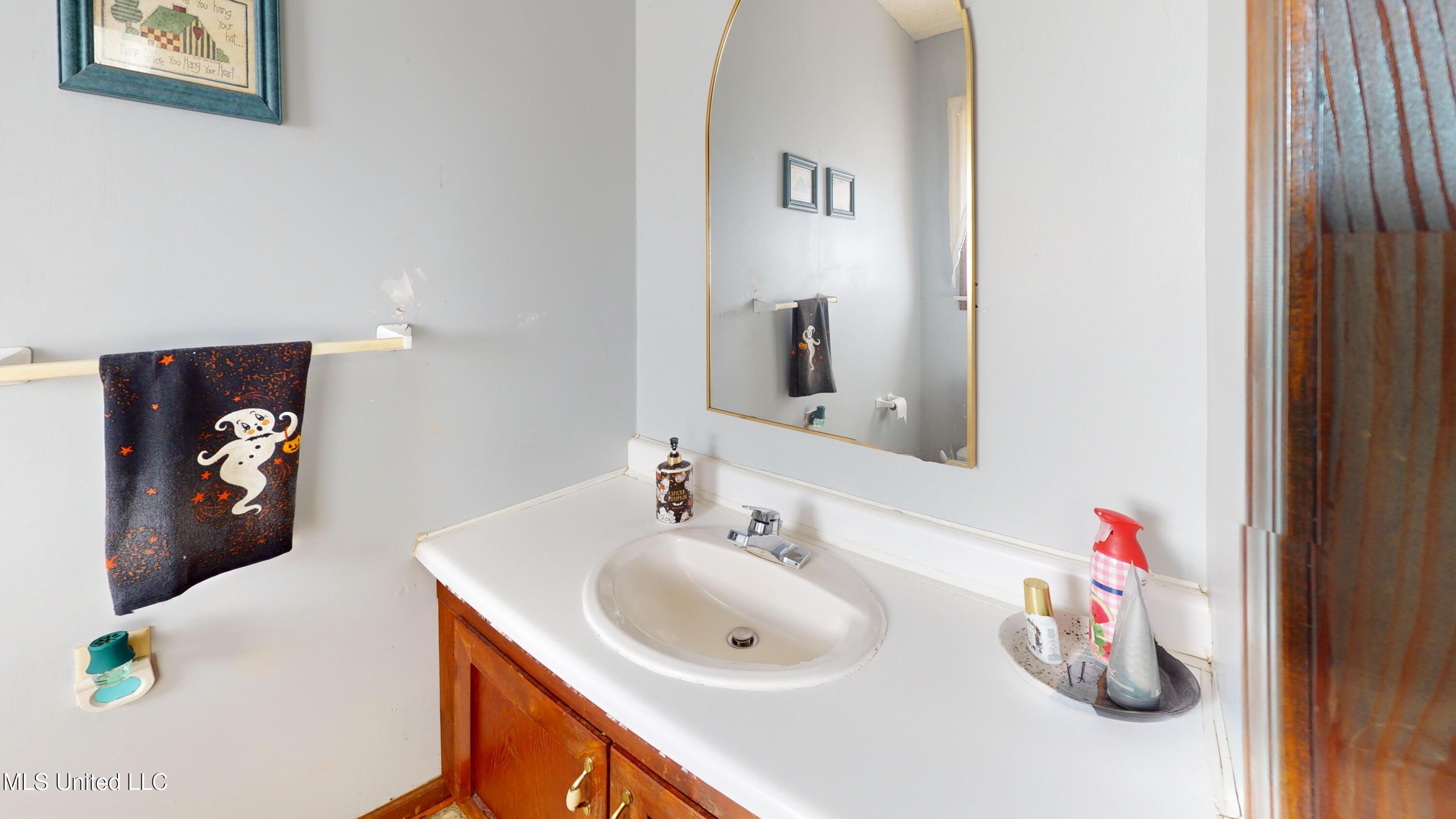 2565 Odom Road Hernando, MS 38632 - Photo 14 of 25 2565-Odom-Rd--Bathroom 2