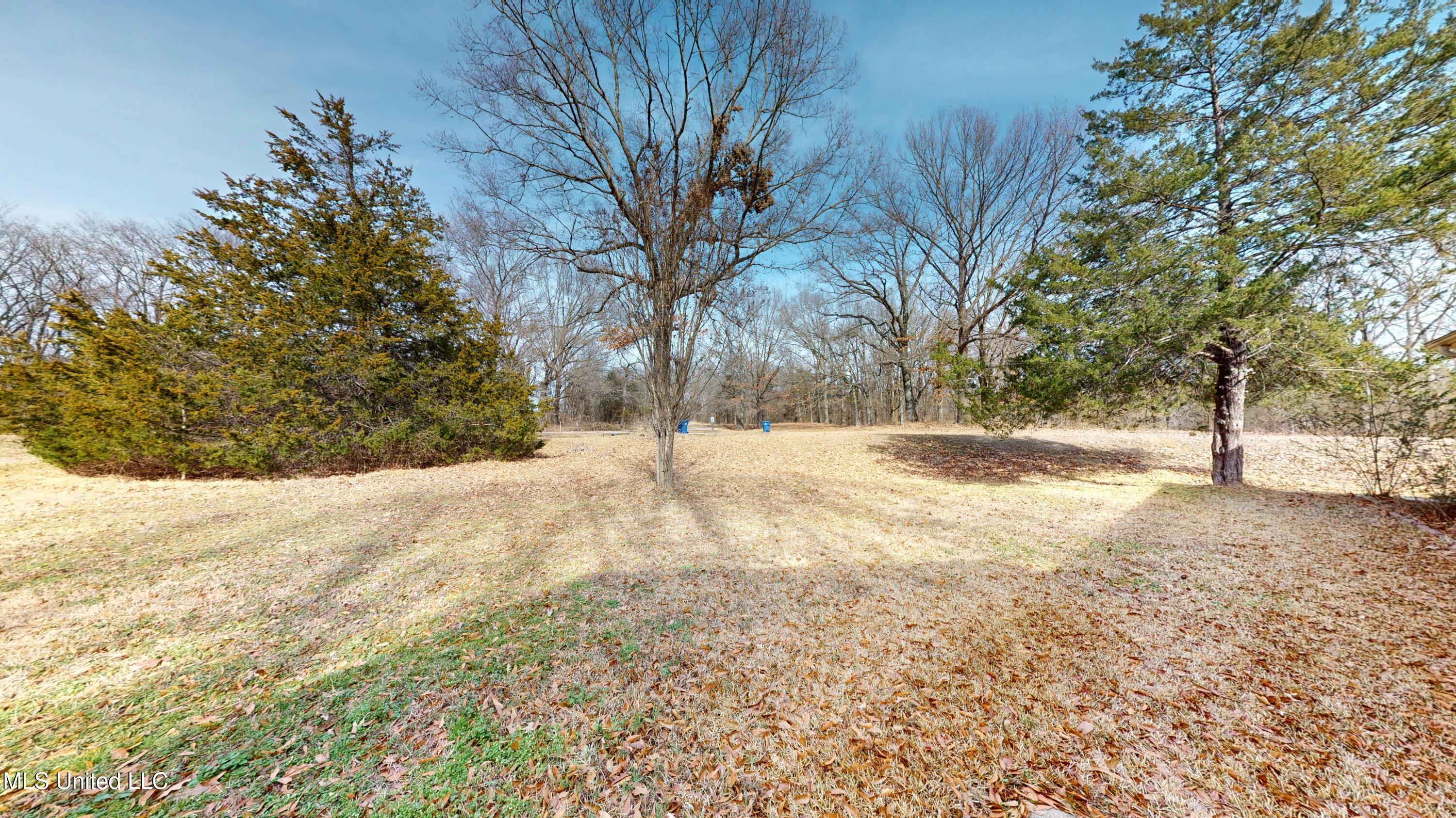 2565 Odom Road Hernando, MS 38632 - Photo 4 of 25 2565-Odom-Rd--02122026_132836