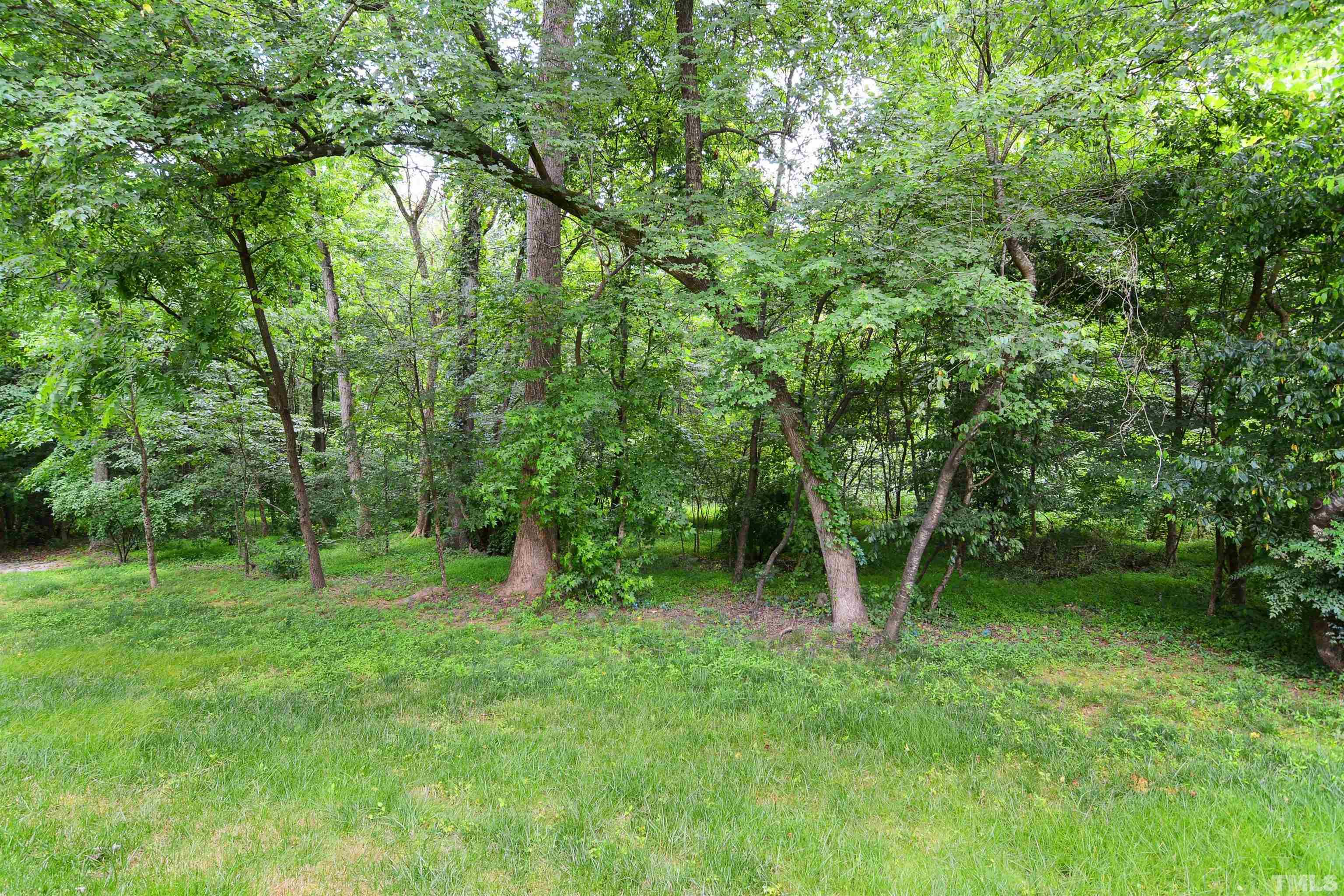 8400 Astwell Court Raleigh, NC 27615 - Photo 21 of 21 a big yard with lots of green space and deers