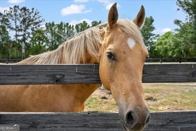 $1,250,000 | 1330 Sr-110, Waynesville, GA 31566