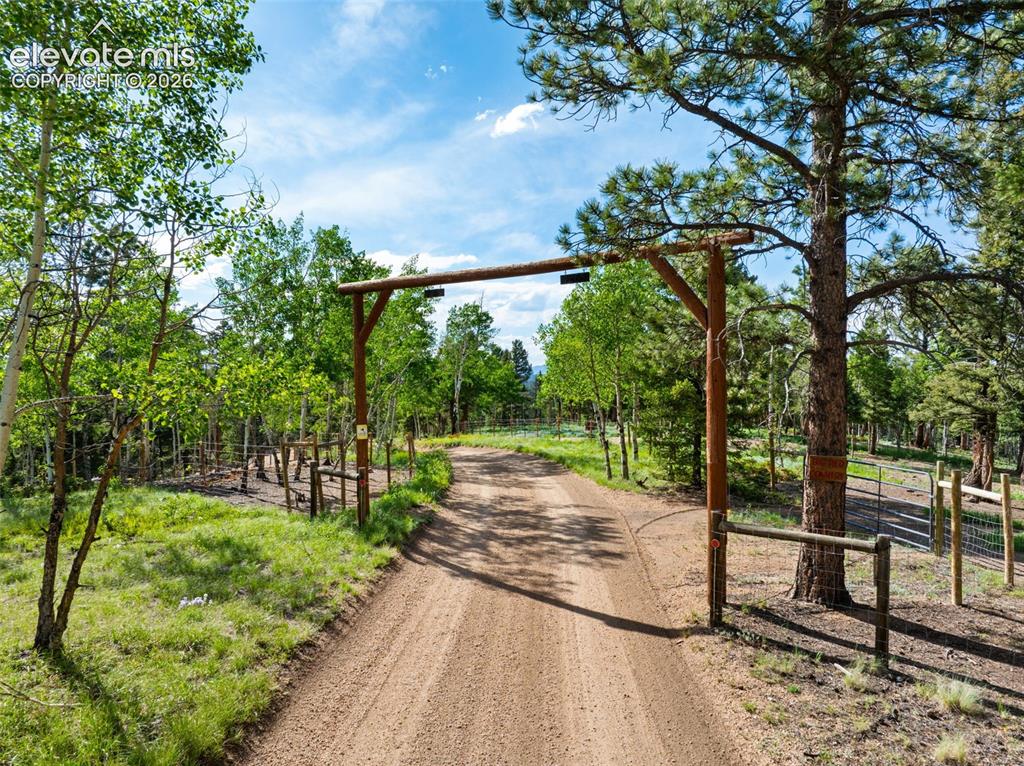 4269 Cedar Mountain Road Divide, CO 80814 - Photo 23 of 39 Entrance to the property