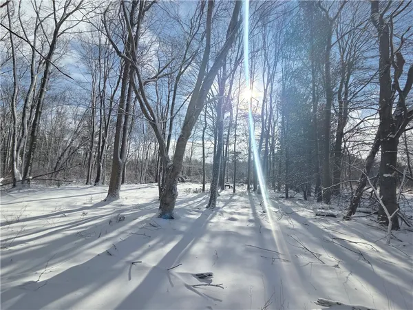 $65,000 | 10720 Duck Lake Road, Conquest, NY 13140