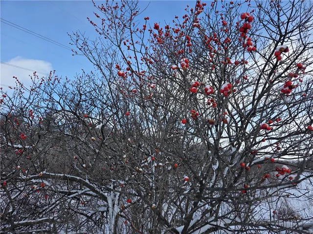 $65,000 | 10720 Duck Lake Road, Conquest, NY 13140