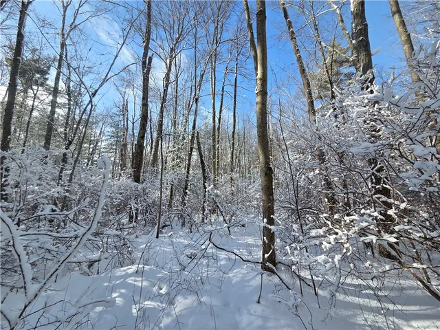 $65,000 | 10720 Duck Lake Road, Conquest, NY 13140