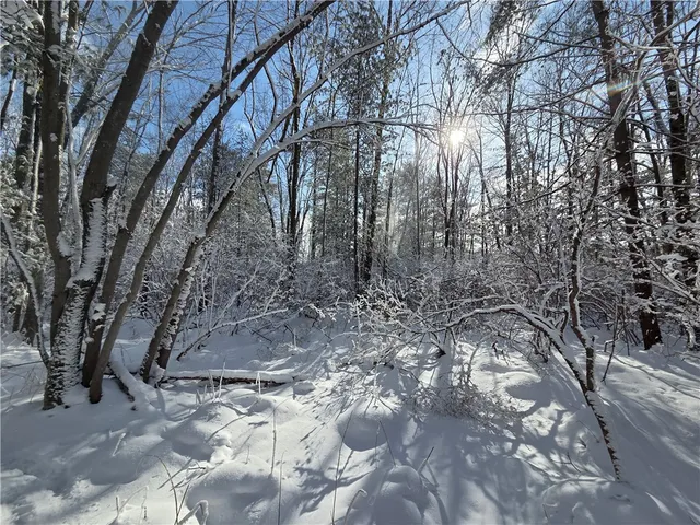 $65,000 | 10720 Duck Lake Road, Conquest, NY 13140