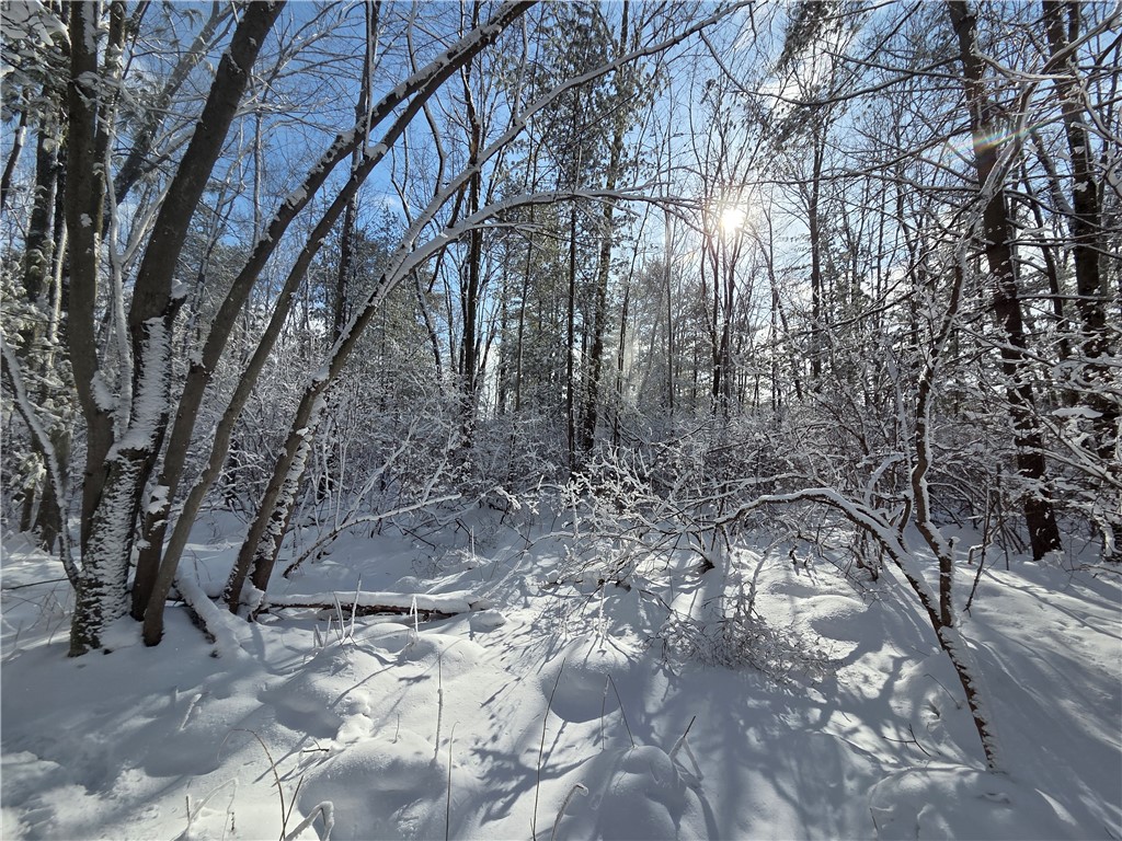 10720 Duck Lake Road Conquest, NY 13140 - Photo 13 of 29