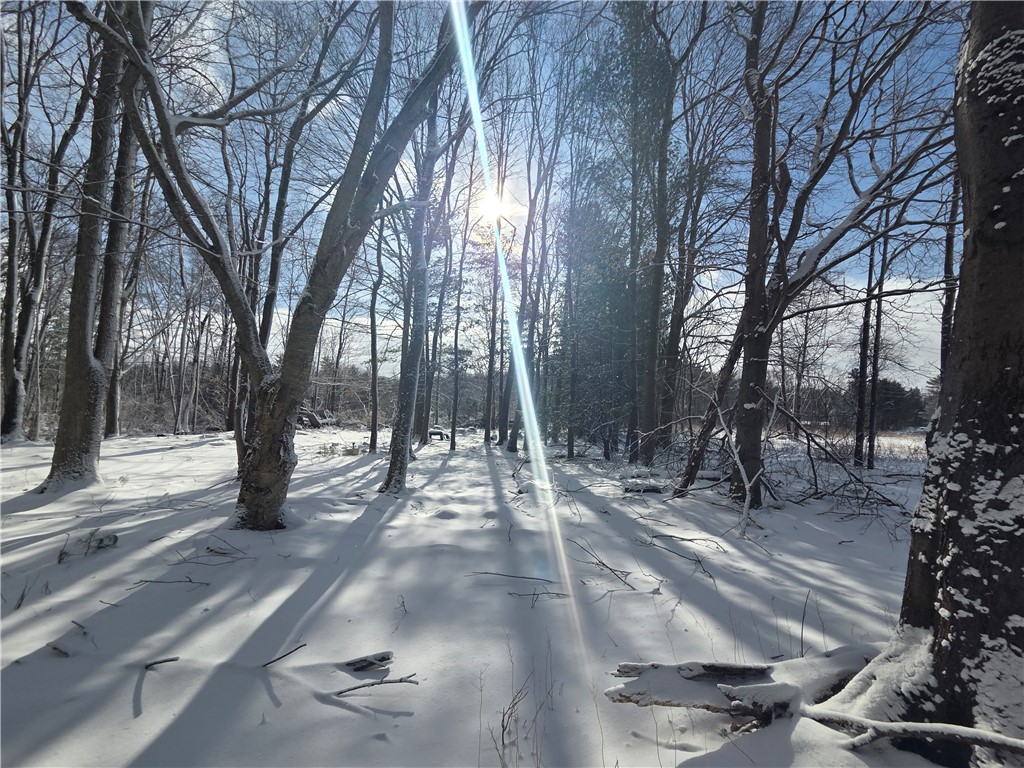 10720 Duck Lake Road Conquest, NY 13140 - Photo 14 of 29