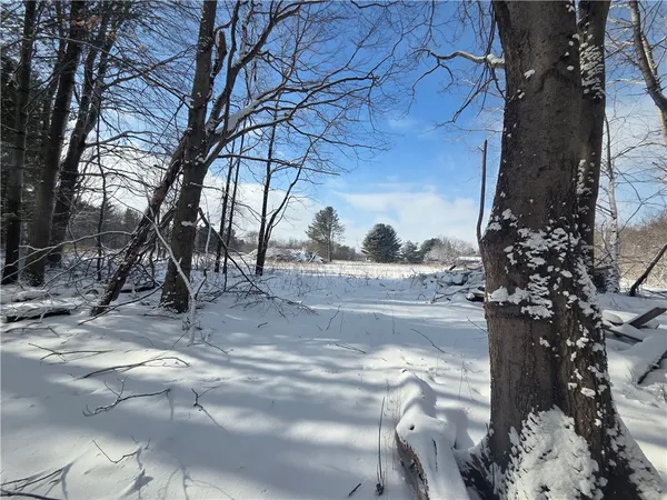 $65,000 | 10720 Duck Lake Road, Conquest, NY 13140