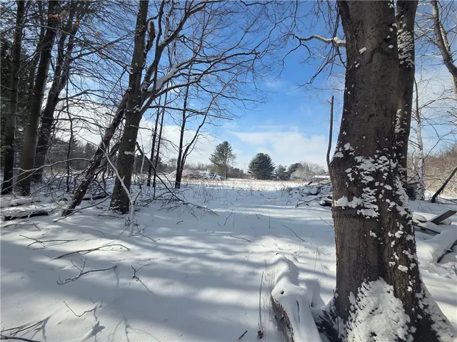 $65,000 | 10720 Duck Lake Road, Conquest, NY 13140