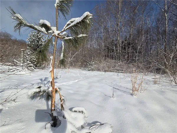 $65,000 | 10720 Duck Lake Road, Conquest, NY 13140