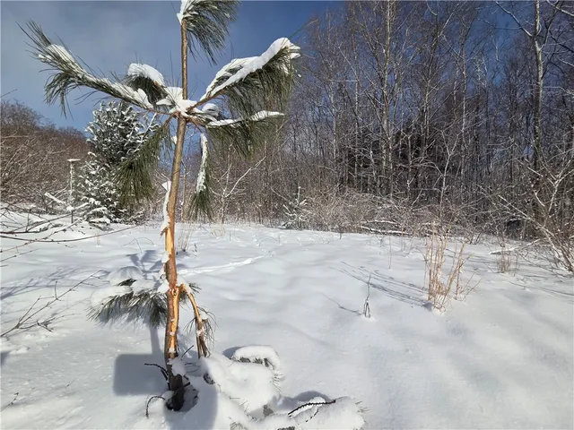 $65,000 | 10720 Duck Lake Road, Conquest, NY 13140