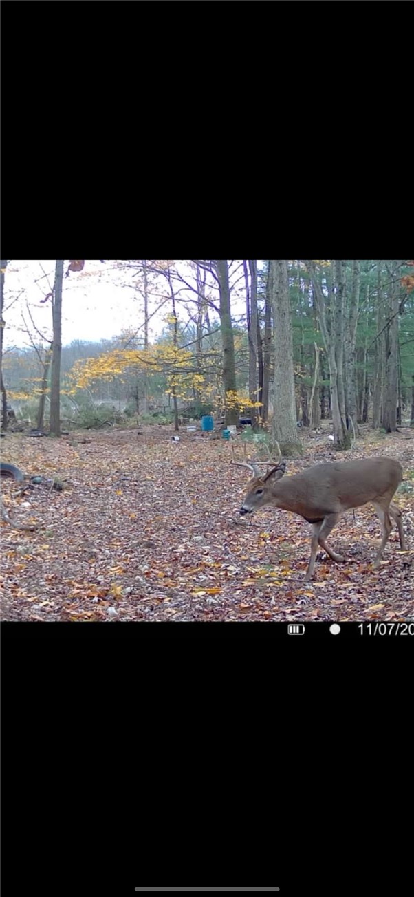 10720 Duck Lake Road Conquest, NY 13140 - Photo 20 of 29