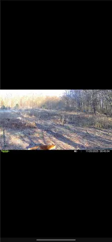 $65,000 | 10720 Duck Lake Road, Conquest, NY 13140