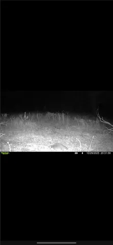 $65,000 | 10720 Duck Lake Road, Conquest, NY 13140