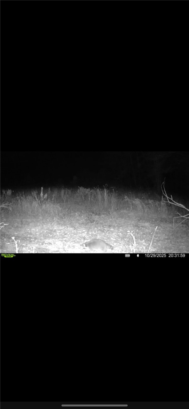 10720 Duck Lake Road Conquest, NY 13140 - Photo 23 of 29