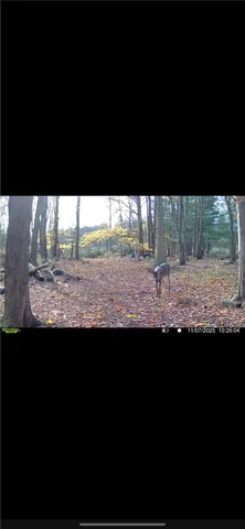 $65,000 | 10720 Duck Lake Road, Conquest, NY 13140