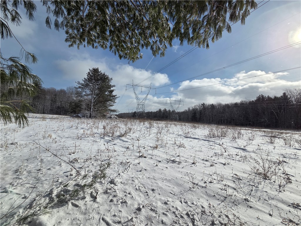 10720 Duck Lake Road Conquest, NY 13140 - Photo 5 of 29