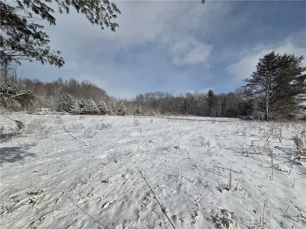 $65,000 | 10720 Duck Lake Road, Conquest, NY 13140